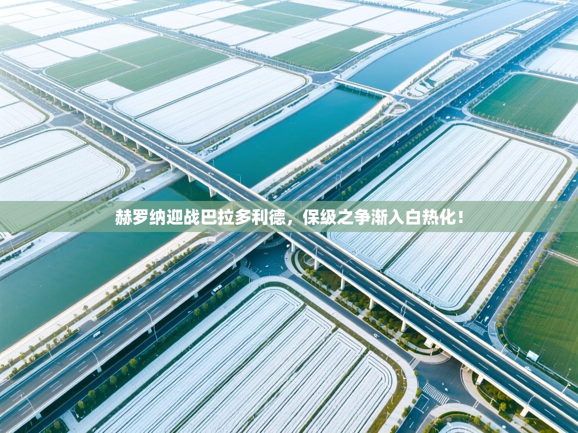 赫罗纳迎战巴拉多利德，保级之争渐入白热化！  第1张